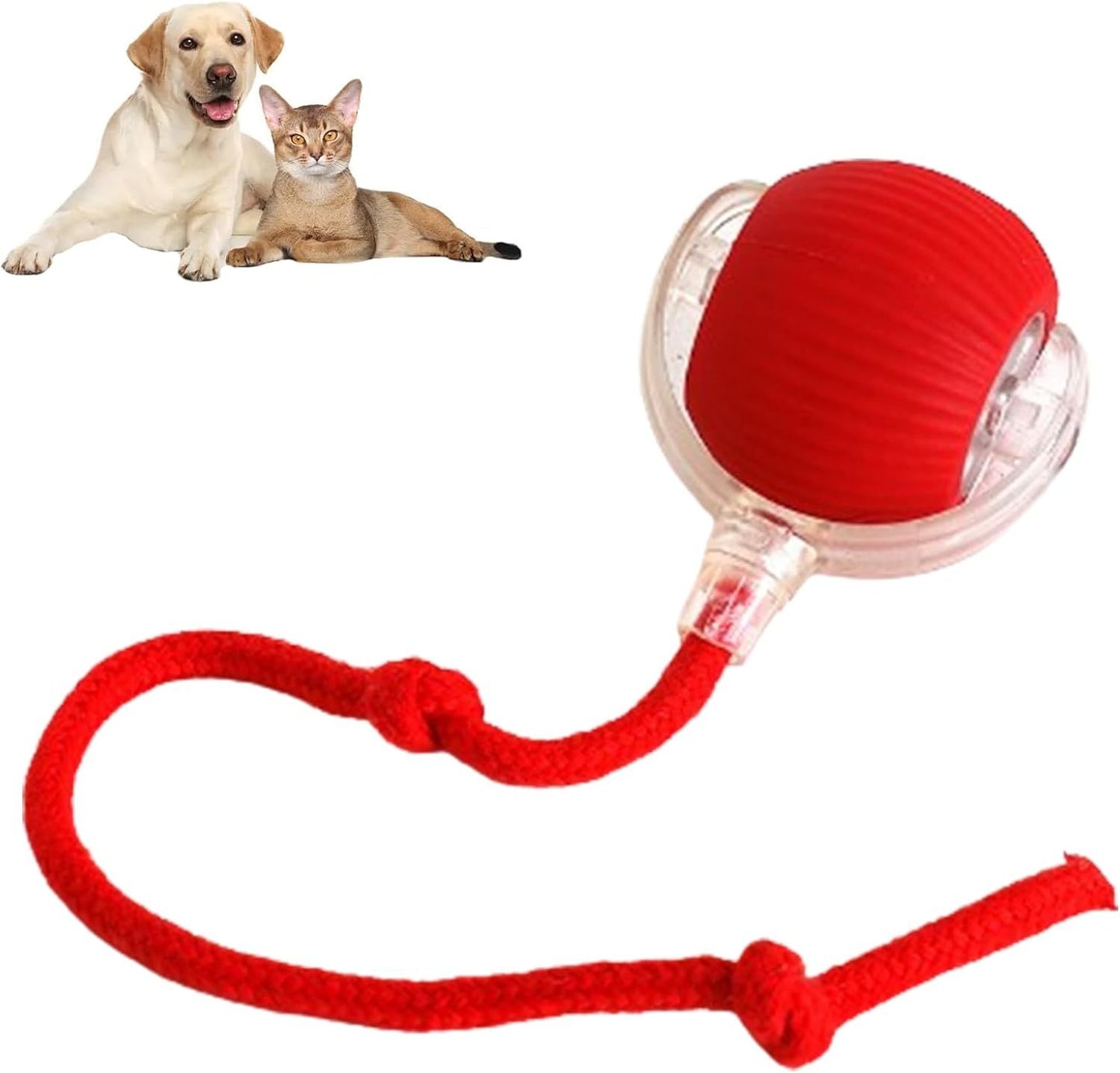 PetBall™ Interactive Pet ball