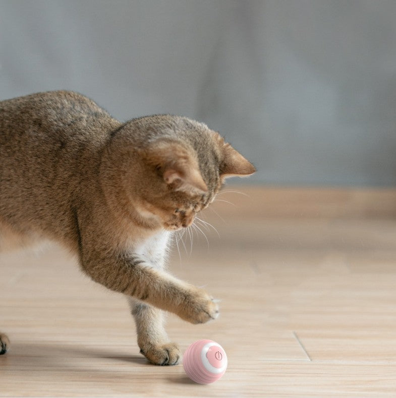 PetBall™ Interactive Cat ball