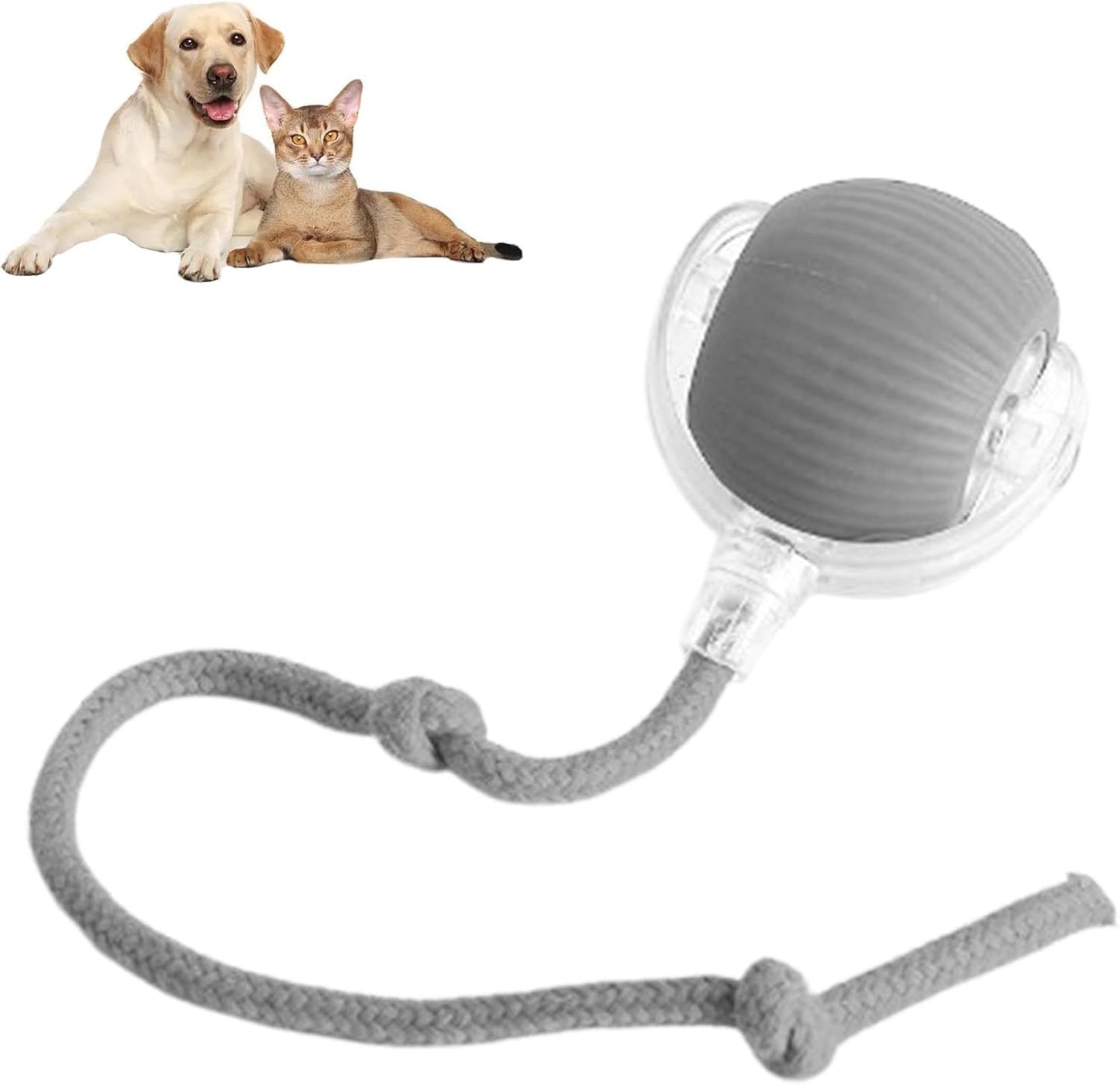 PetBall™ Interactive Pet ball